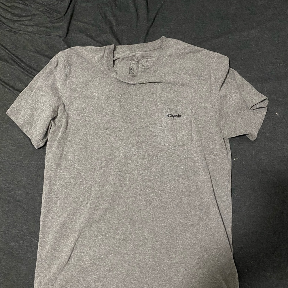 Patagonia Tshirt